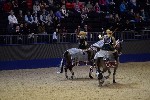 Quadrille - 00811